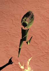 Simulación de muelles, pelos, cabello